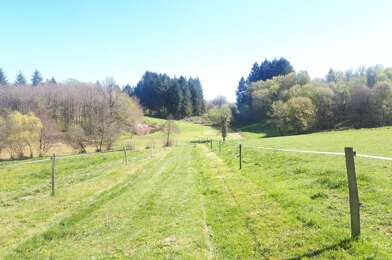 Terrain  50000 €