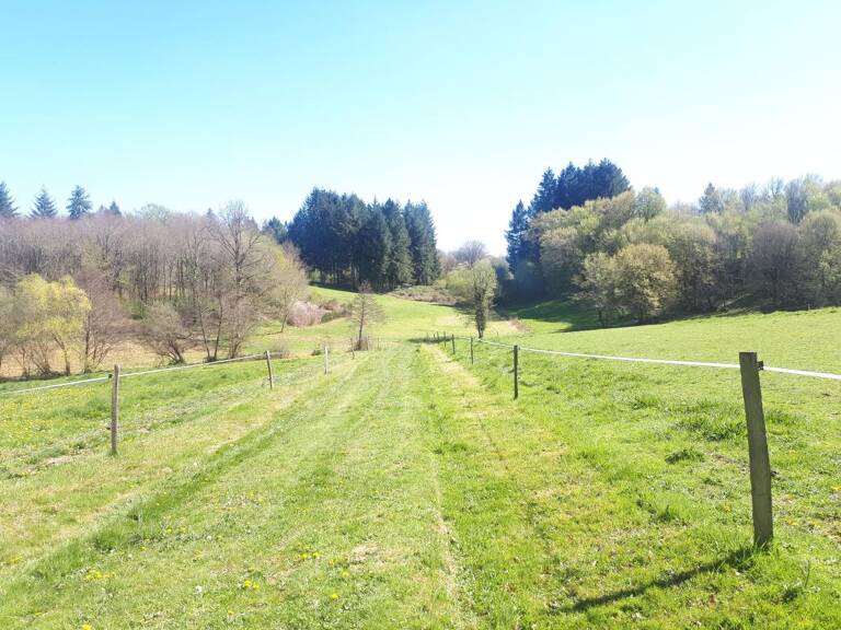 Terrain À Vendre — photo 1
