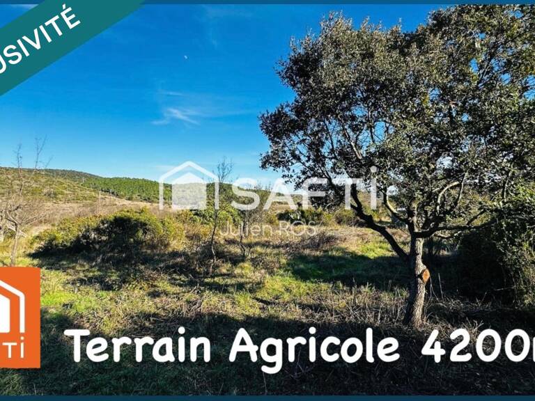 Terrain agricole 4 000 m²  Gabian - — photo 1