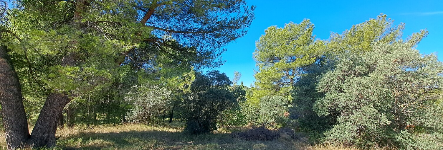 Terrain 1060 m² à construire Aix-en-Provence (13090)