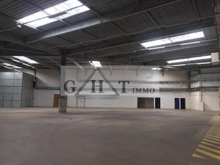 2900 m² entrepot bureaux à louer à collegien — photo 1