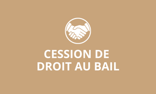 Divers 7 Pièces 366 m² à vendre à Lyon 2 (69002)