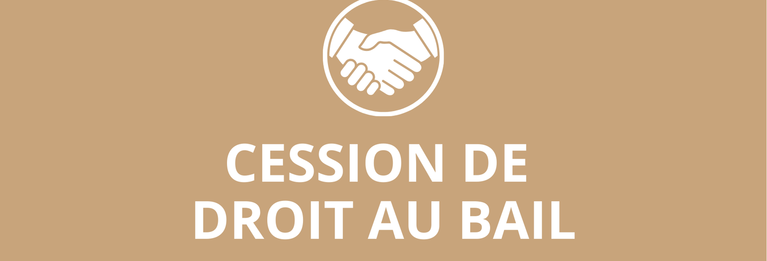 Divers 7 Pièces 366 m² à vendre à Lyon 2 (69002)