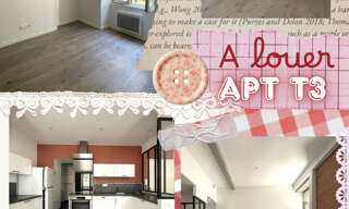 Appartement 3 Pièces 55 m² à louer à Montauban (82000)