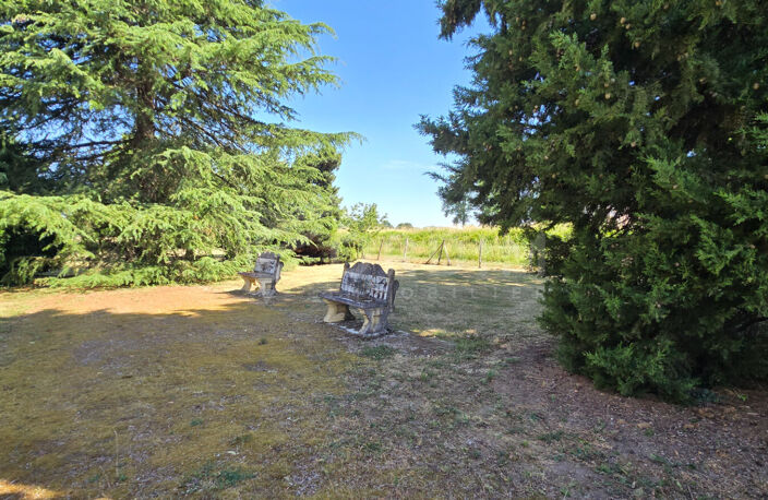 Maison de caractère 5 chambres avec dépendances et grand terrain — photo 3