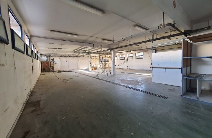 Local commercial — photo 4