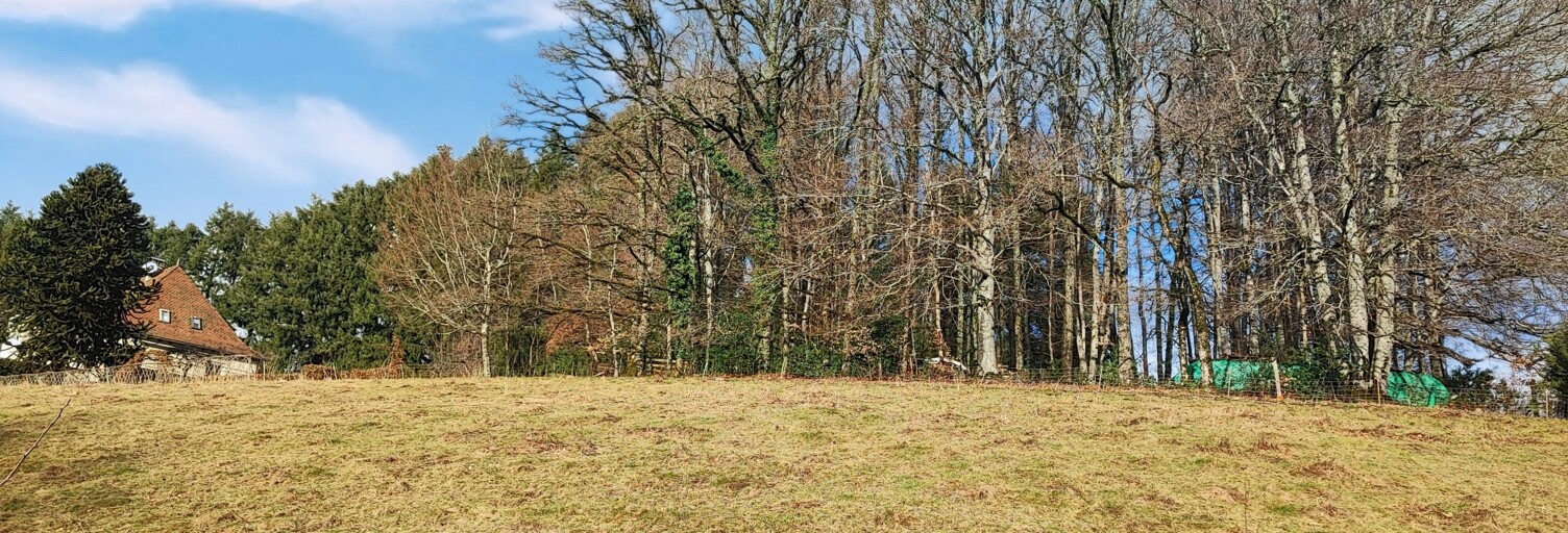 Terrain  1786 m² à vendre à Lafeuillade-en-Vézie (15130)
