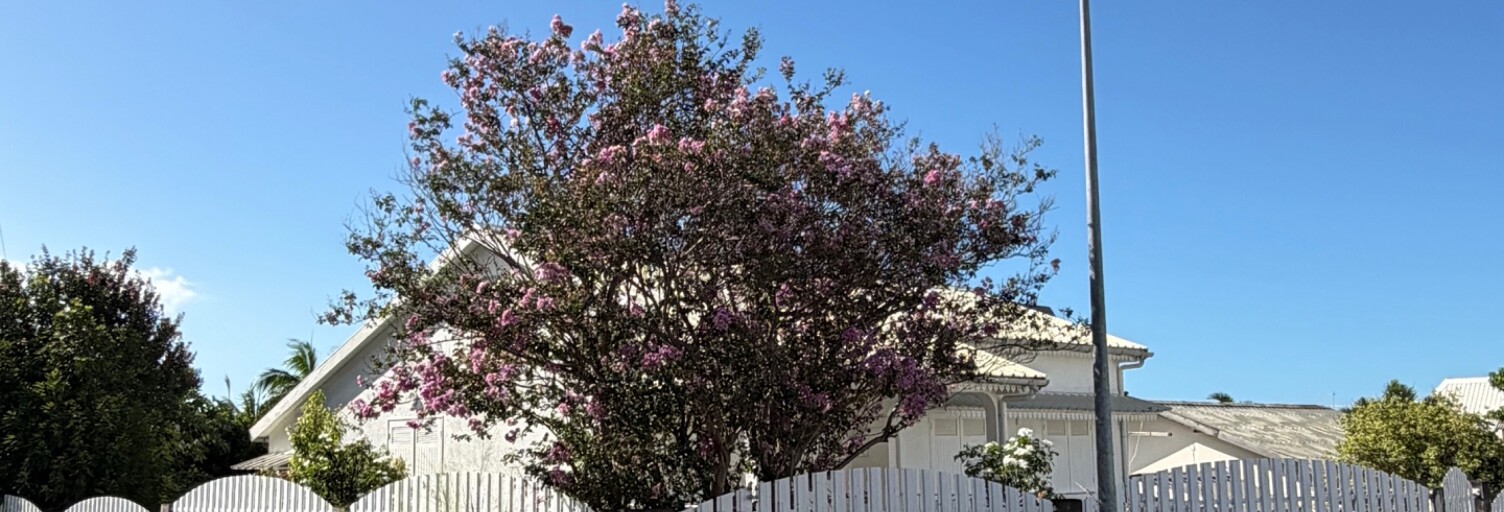 Maison 8 Pièces 150 m² à vendre à Sainte-Marie (97438)