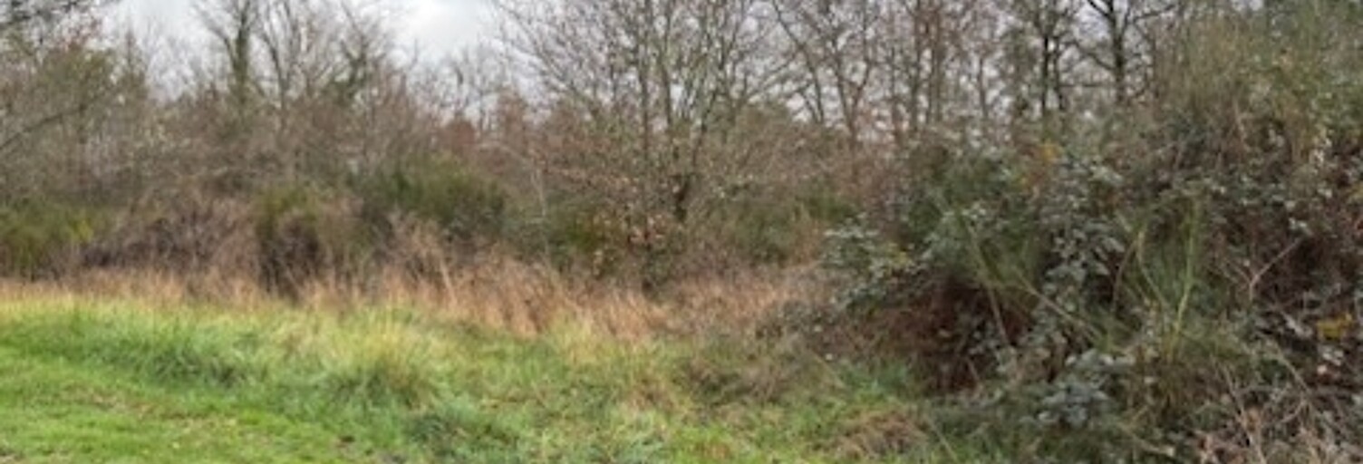 Terrain  2445 m² à vendre à Saint-Martin-de-Fressengeas (24800)