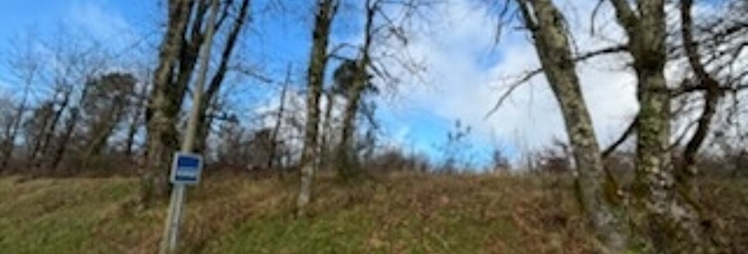 Terrain  5659 m² à vendre à Saint-Martin-de-Fressengeas (24800)