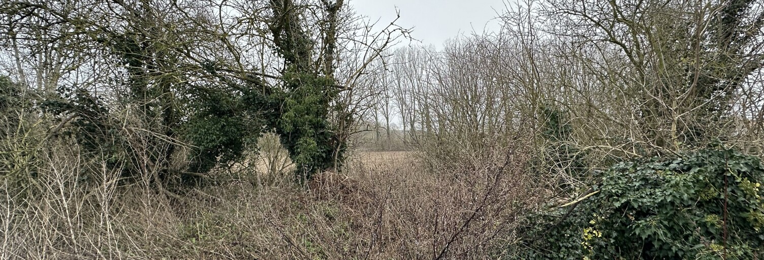 Terrain  26061 m² à vendre à Masny (59176)