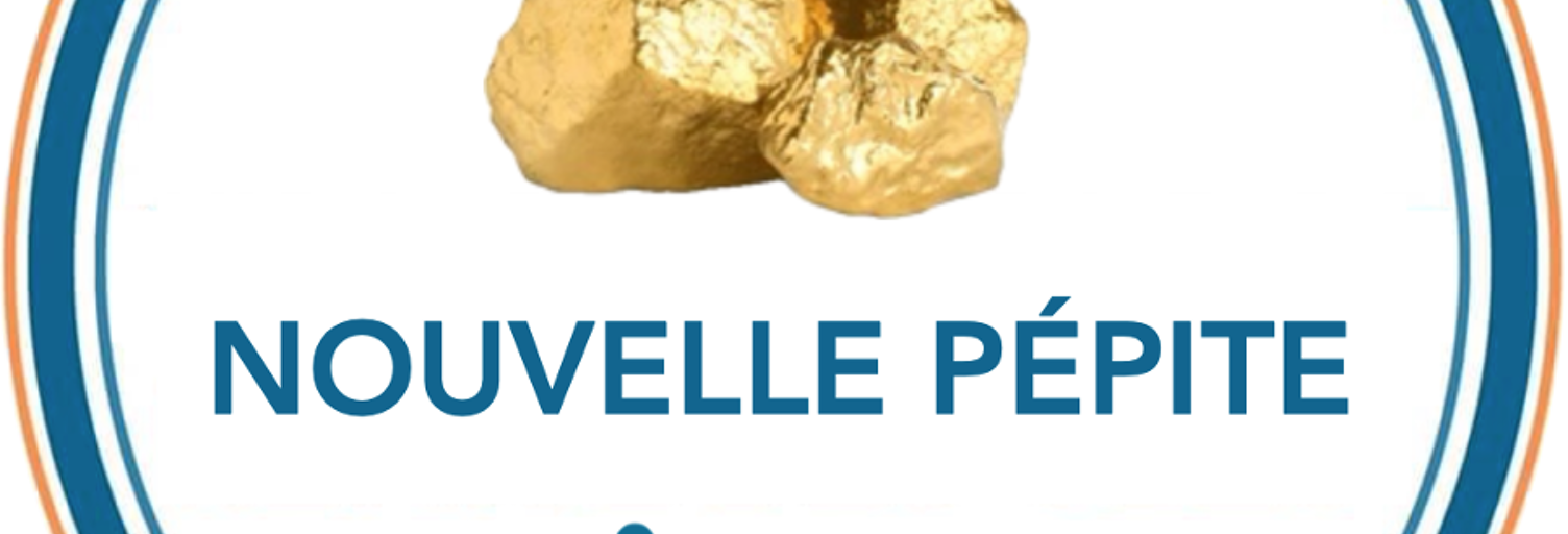 Appartement 2 Pièces 42 m² à vendre à Saint-Denis (93210)