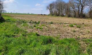 Terrain  1500 m² à vendre à Calorguen (22100)