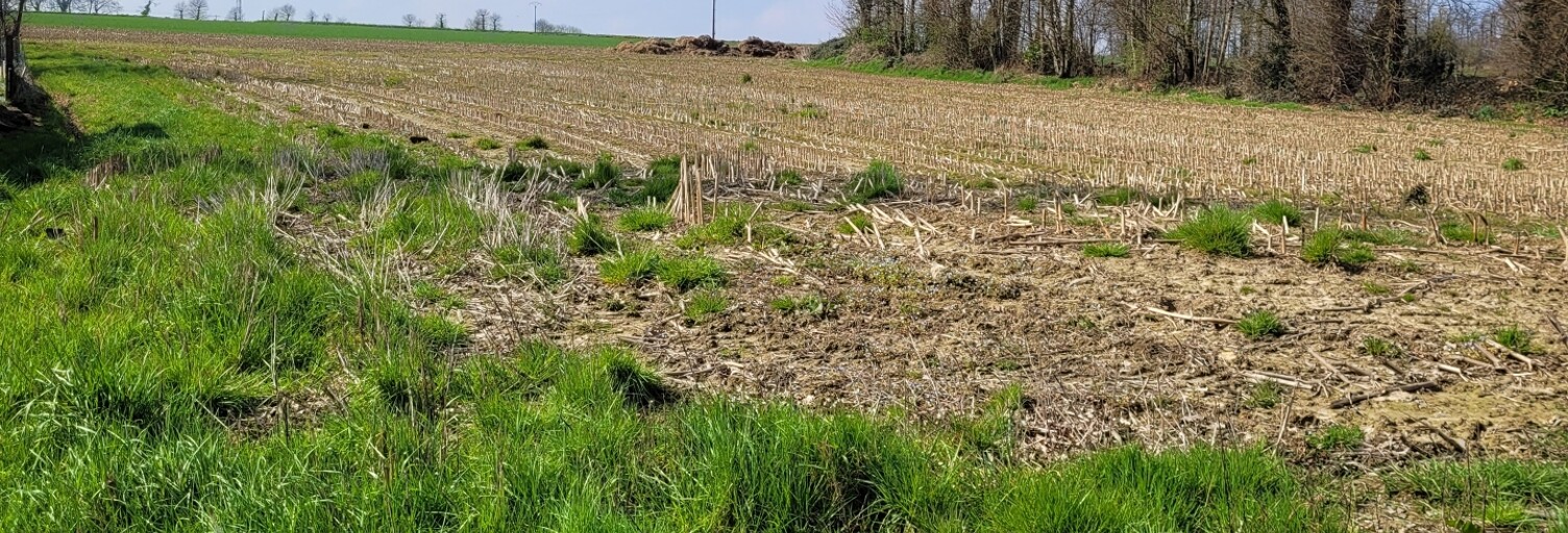 Terrain  1500 m² à vendre à Calorguen (22100)