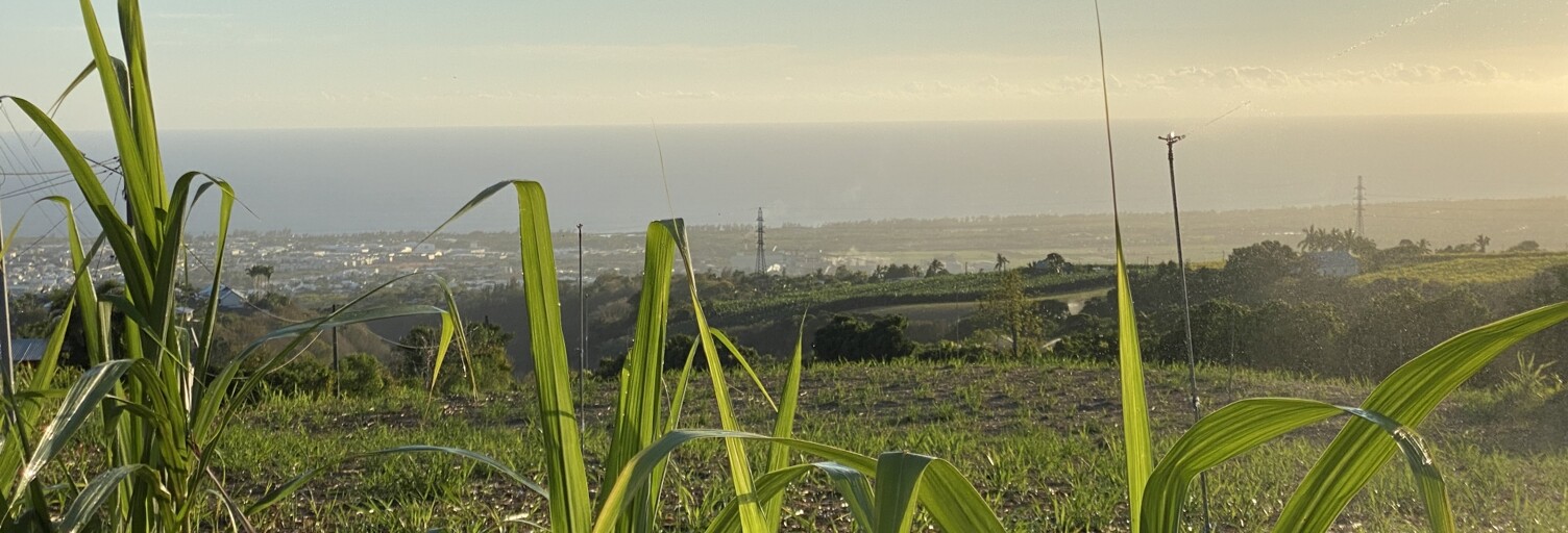 Maison 3 Pièces 100 m² à vendre à Saint-Louis (97450)