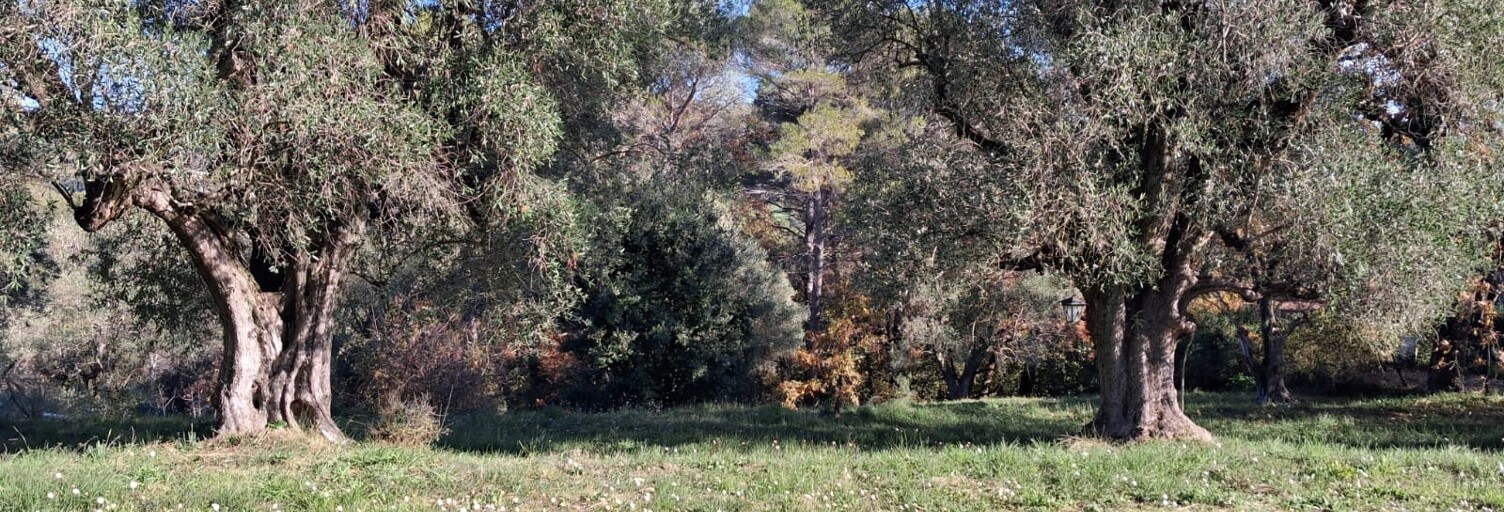 Terrain  3233 m² à vendre à La Roquette-sur-Siagne (06550)