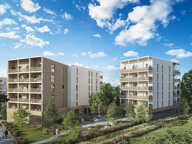 BOIS LIZÉ — photo 2