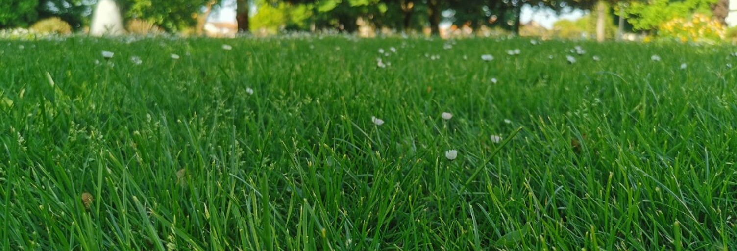 Terrain  1313 m² à vendre à Gujan-Mestras (33470)