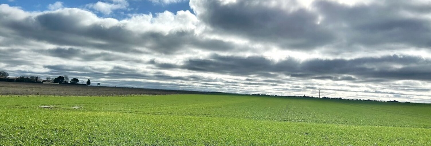 Terrain  304 m² à vendre à Angliers (17540)