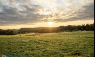 Terrain  500 m² à vendre à Léognan (33850)