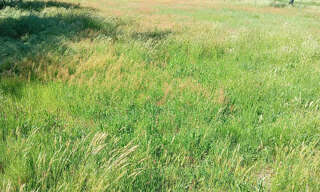 Terrain  790 m² à vendre à Mios (33380)