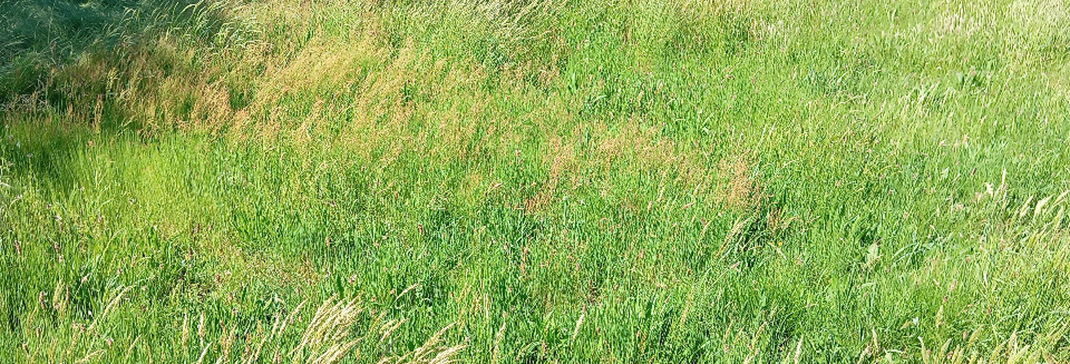 Terrain  790 m² à vendre à Mios (33380)