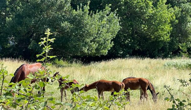 Villa / Maison 6 pièces  à vendre Saint-Victoret 13730