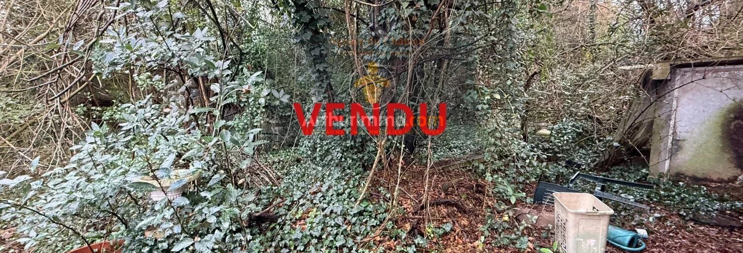 Photo du bien