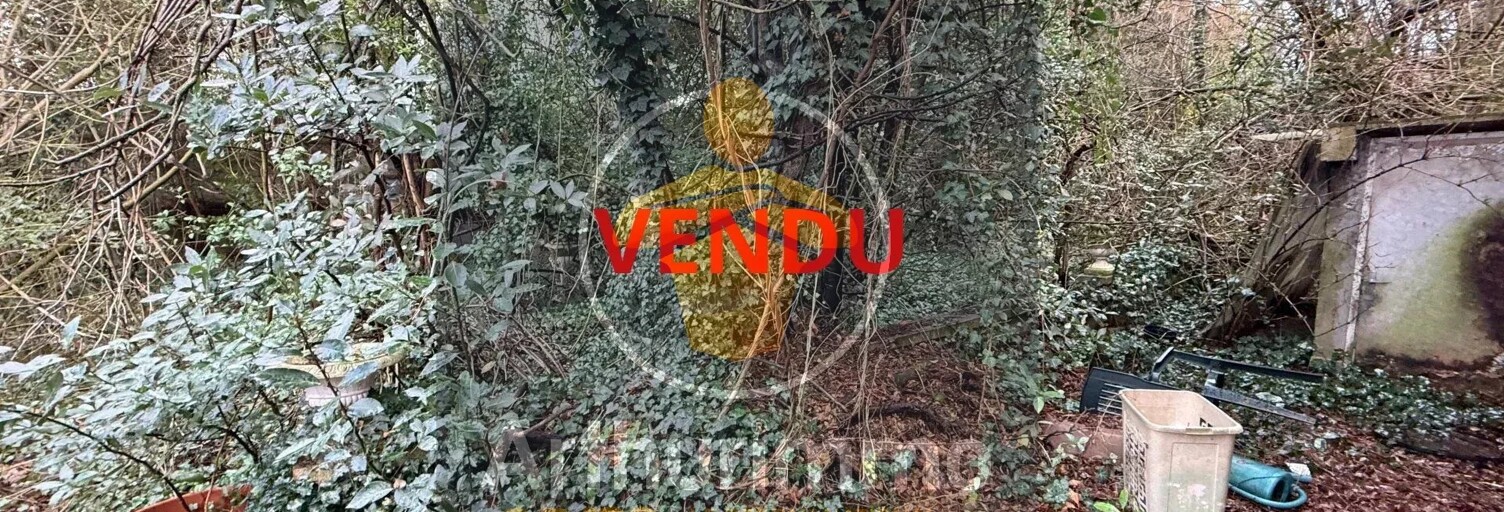 Photo du bien