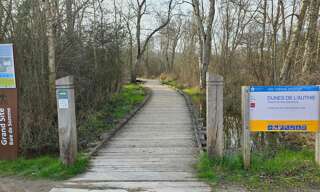 Photo N° 2