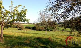 Maison 10 Pièces 258 m² à vendre à Varennes-sur-Amance (52400)