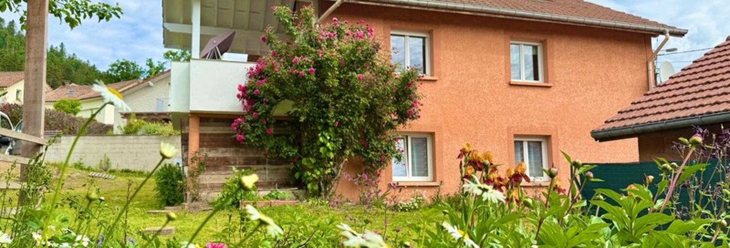 Maison 9 Pièces 225 m² à vendre à Le Syndicat (88120)