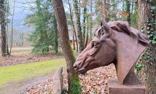 Commerce 12 Pièces 303 m² à vendre à Noyant-Villages (49490)