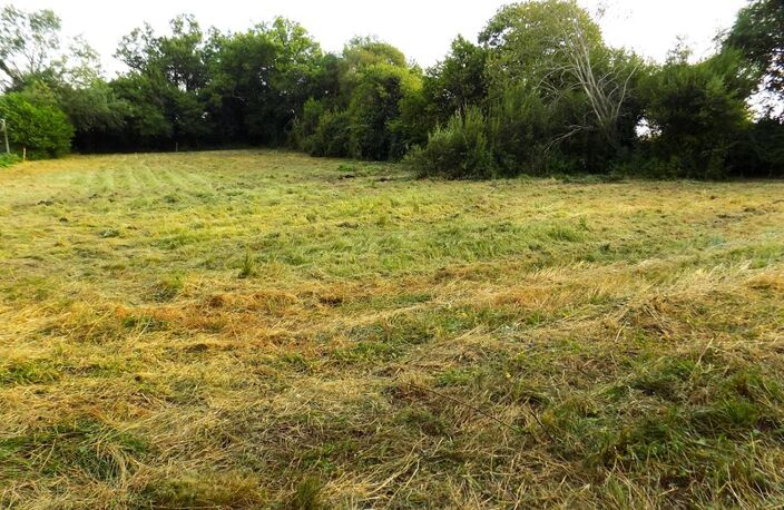 Terrain à bâtir de 3 822 m² — photo 4