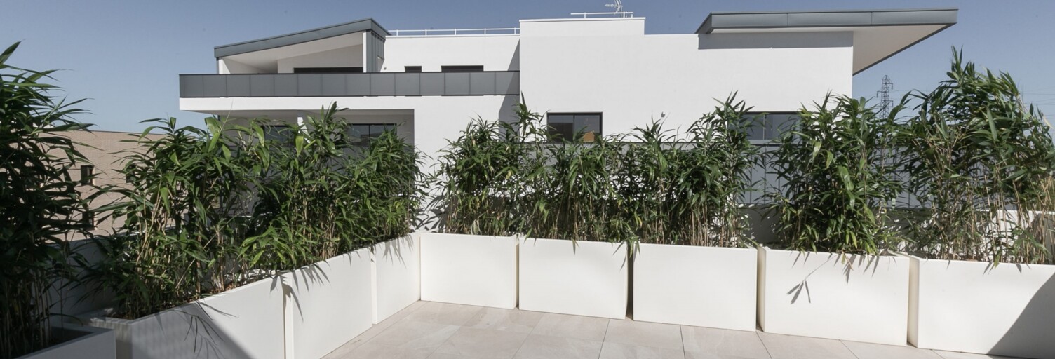 Appartement 3 Pièces 84 m² à vendre à Saint-Jean-de-Védas (34430)