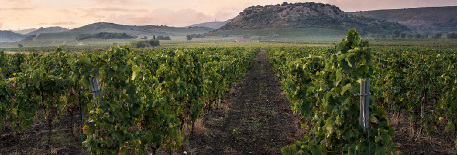 Maison 2 Pièces 572 m² à vendre à Roquessels (34320)