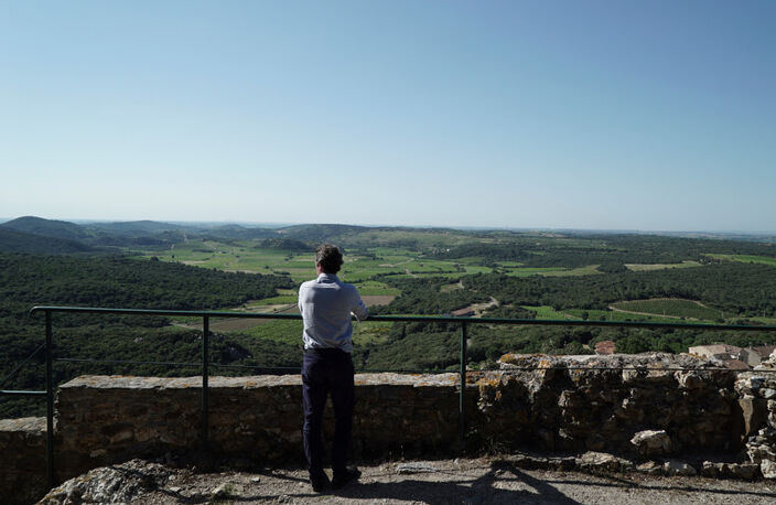 Propriete viticole bio AOP Faugères à vendre  ROQUESSELS (34) 9,8ha de vignes 28ha de landes caves 572m² — photo 4