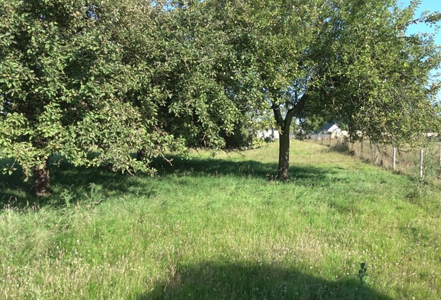 Terrain à vendre à  RAFFETOT (76210) — photo 1