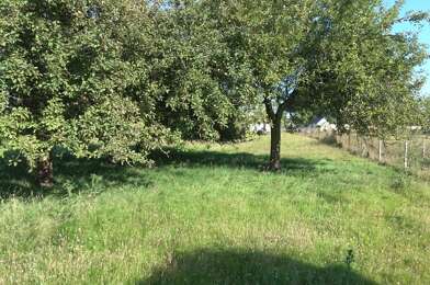 Terrain  45000 €