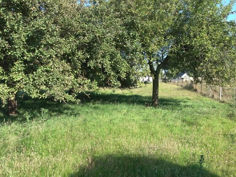 Terrain à vendre à  RAFFETOT (76210) — photo 1