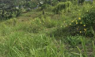 Terrain  1502 m² à vendre à Sainte-Rose (97115)