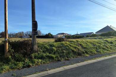 Terrain  20000 €