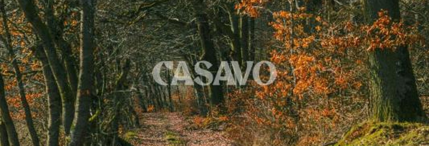 Terrain  5167 m² à vendre à Sadirac (33670)