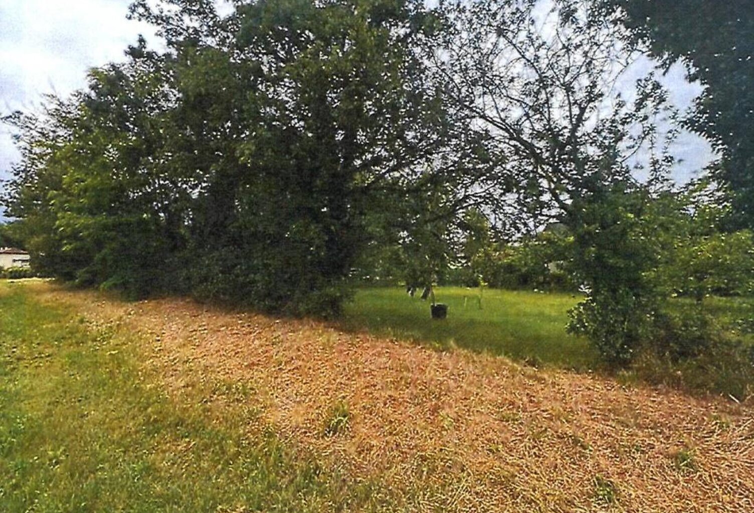 Terrain à vendre — photo 1
