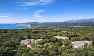 Maison 12 Pièces 304 m² à vendre à Bonifacio / Bunifaziu (20169)