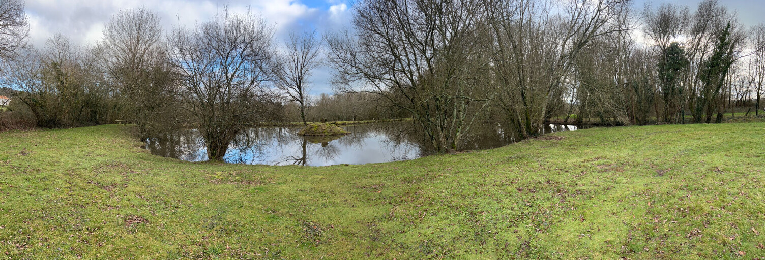 Commerce 1 Pièce 3735 m² à vendre à Pouzauges (85700)