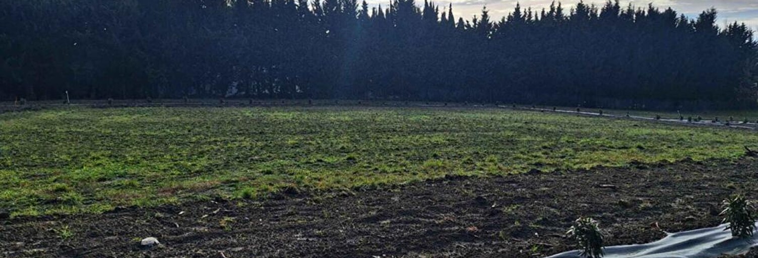 Terrain  1500 m² à vendre à Montréal (11290)