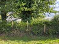 RARE - A vendre terrain constructible de 360 m2, plat, à 400 m du centre de Cléguer (56), 15 min de Lorient, 22 min de la mer (Larmor Plage) — photo 3