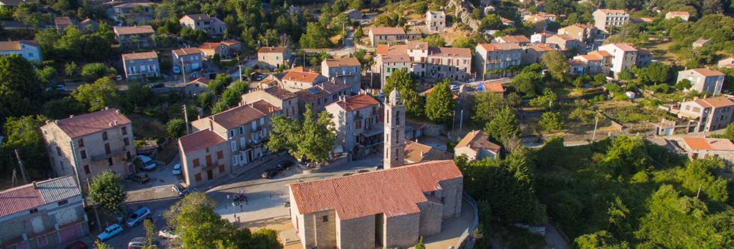 Terrain  3000 m² à vendre à Quenza (20122)