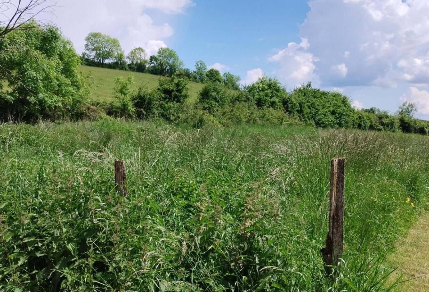 21320 POUILLY EN AUXOIS - Terrain constructible 1202 m2 - Beaume commune de Créancey — photo 1
